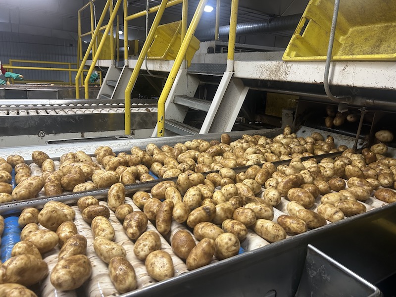 Photos Day 1 of Idaho potato harvest tour The Packer